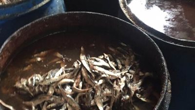 ضبط 1.5 طن سردين ورنجة فاسدة في الدقهلية