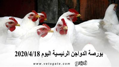 بورصة الدواجن الرئيسية اليوم 2020/4/18