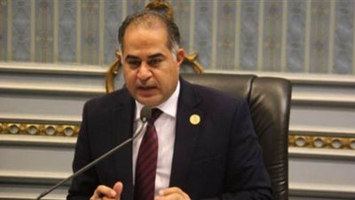 وكيل النواب يستنكر دعاوى نزع الهوية المصرية عن سيناء في شهر الاحتفال بتحريرها