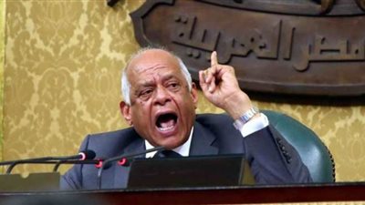 تهانى الجبالي: مد فترة مجلس النواب 