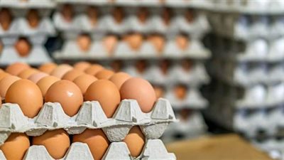 تجارية القاهرة: 3 جنيهات زيادة في سعر كرتونة البيض