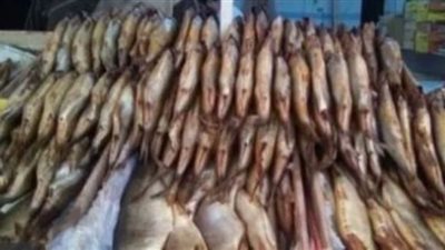 مصادرة 1.750 طن أسماك مدخنة غير صالحة للاستهلاك الآدمى بأوسيم