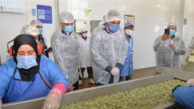 محافظ الدقهلية يتفقد الإجراءات الاحترازية في مصنعي عصائر وخضراوات أجا | فيديو