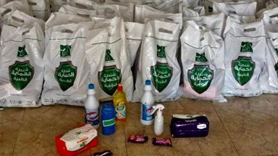 توفير المواد الغذائية ومستلزمات التعقيم لأهالي قرية كفر العجمى بكفر الشيخ | صور