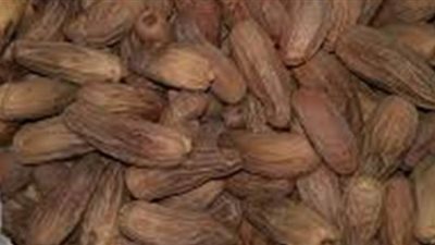 خطوات بسيطة تسهل عليك تحضير البلح في رمضان