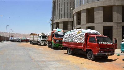 محافظ سوهاج: توريد 731 طن أقماح منذ بدء موسم الحصاد