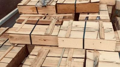 قبل شم النسيم.. مصادرة 380 كيلو رنجة فاسدة بالمرج | صور