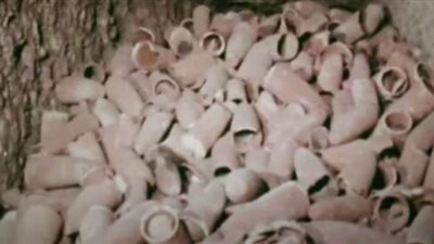 ديلي إكسبريس تسلط الضوء على أنفاق سقارة وتصفها بأغرب اكتشاف في العالم