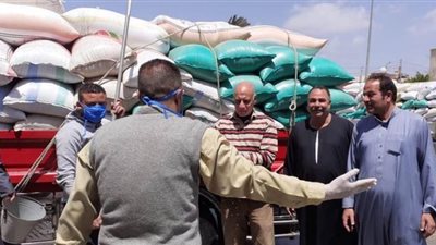 توريد 125 طنا وتجهيز 23 شونة وصومعة لاستقبال محصول القمح بالغربية