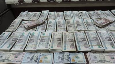 ضبط شخصين بتهمة الاتجار بالنقد الأجنبي بحوزتهما عملات مختلفة بالقاهرة 