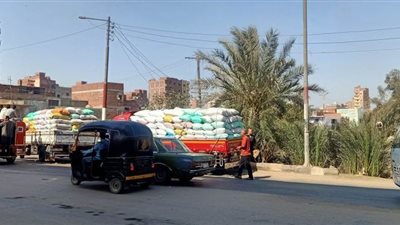 توريد 3 آلاف و253 طن قمح لصوامع الدقهلية