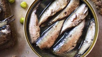 القومي للبحوث: السردين الطازج غني بالكالسيوم وفيتامين 