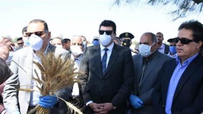 محافظ الشرقية لمزارعي القمح: مبروك عليكم وسنة خير على مصر كلها | صور
