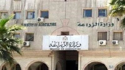 إحالة 3 قيادات بـ