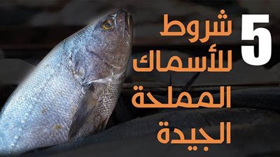 5 شروط للأسماك المملحة الجيدة | إنفو جراف