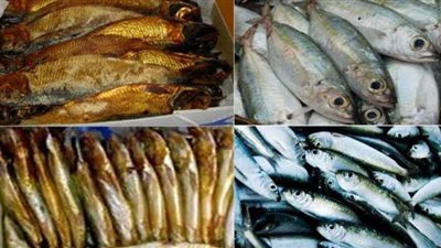 9 شروط من القومي للبحوث لتلافي الأضرار الناتجة عن تناول الأسماك المملحة