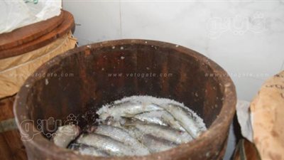 الصحة: الأسماك المملحة والمدخنة تضعف المناعة | فيديو