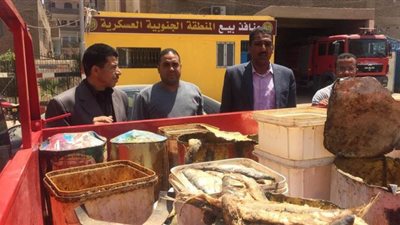 ضبط نصف طن أسماك مملحة غير صالحة وتحرير 74 محضرا تموينيا بسوهاج