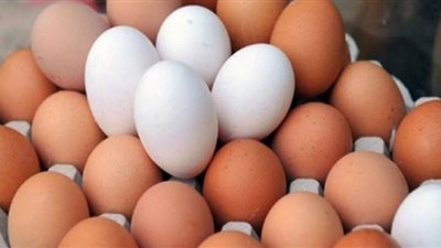بيض شم النسيم | استقرار الأسعار خلال تعاملات اليوم