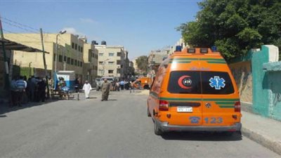 إصابة 8 أطفال عقرهم كلب ضال في بني سويف