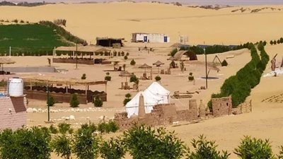 خلو الشوارع والحدائق والمتنزهات من المواطنين في شم النسيم بالوادى الجديد | صور