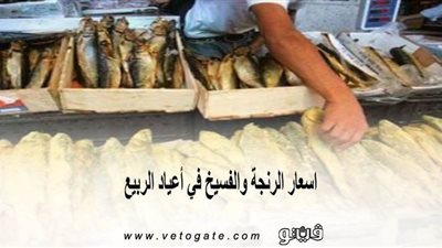 اجازة شم النسيم 2020..اسعار الرنجة والفسيخ في أعياد الربيع