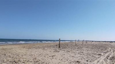 أهالي البحيرة يحتفلون بشم النسيم في المنازل.. والمصايف والحدائق مغلقة | صور