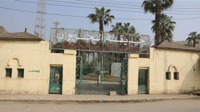 10 صور لغلق الكورنيش والحدائق ومنع المواصلات في شم النسيم ببني سويف