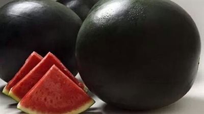 البطيخ الأسود يصل سعره إلى 6 آلاف دولار 