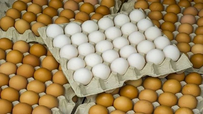 ارتفاع أسعار البيض
