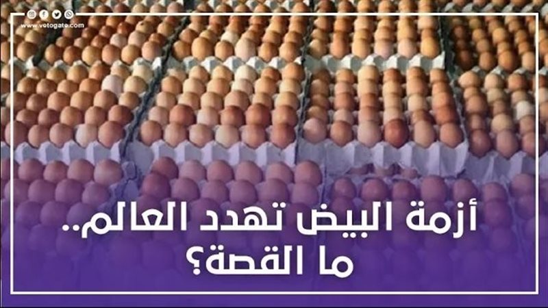 أزمة البيض تهدد العالم