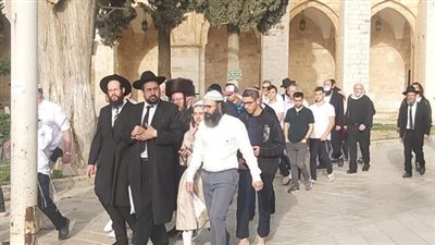 مستوطنون يقتحمون المسجد الأقصي فى حماية الشرطة الإسرائيلية