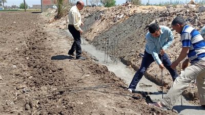 إزالة تعد في المهد علي أرض زراعية بمركز بني مزار