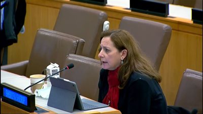 المدير التنفيذي للقومي للحوكمة تشارك في الدورة 21 للجنة الأمم المتحدة 