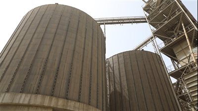 توريد 15 طن قمح بصوامع المنوفية