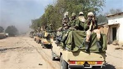 قوة المهام الأفريقية تعلن تصفية 100 من المتشددين في بحيرة تشاد