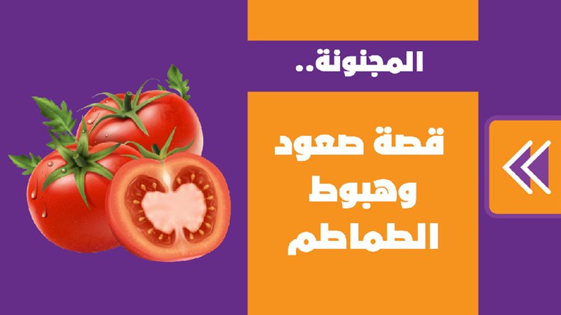 فيتو