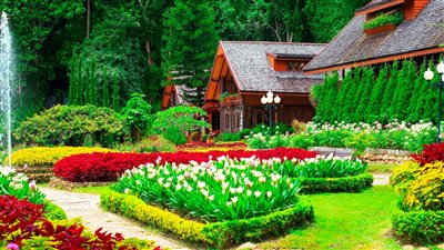 تفسير رؤية الحديقة في المنام وعلاقتها باستقرار الحياة الزوجية 