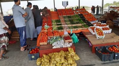 إقبال كثيف من المواطنين على منفذ مبادرة لا للغلاء في الطالبية | فيديو