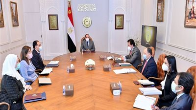 تطورات البرنامج القومي للرائدات المجتمعيات