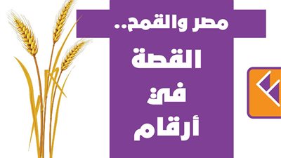 مصر والقمح..القصة في أرقام| إنفوجراف