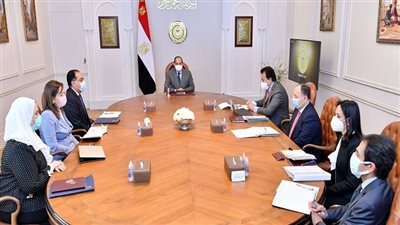 كل ما تريد معرفته عن المشروع القومي لتنمية الأسرة المصرية