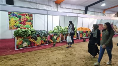3 منافذ جديدة لبيع الخضروات والفاكهة بأسعار مخفضة في الجيزة | صور