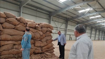 مراجعة جاهزية الشون والصوامع لتوريد القمح المحلي ببني سويف