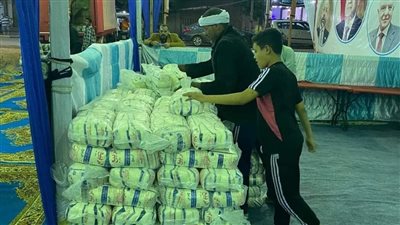 سكرتير حي الطالبية ينقل خضارا وفاكهة لعرضها بسعر الجملة