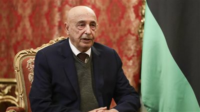 عقيلة صالح ينفي القبول بتشكيل حكومة ليبية جديدة خلال زيارته لتركيا