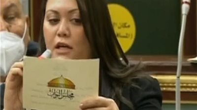 برلمانية تطالب بتسويق منتجات دارسي الجامعات الفنية في المعارض