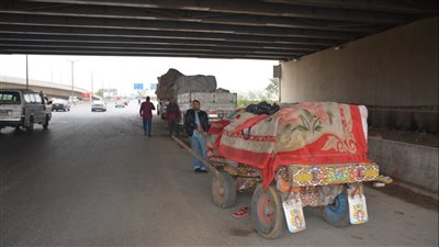 محافظ القليوبية يوجه بإزالة الإشغالات والباعة الجائلين أسفل الكباري 