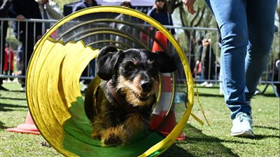 أمريكي يجمد حيوانات حية في ثلاجته