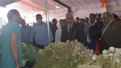 أسعار الخضار والفاكهة في الطالبية| فيديو